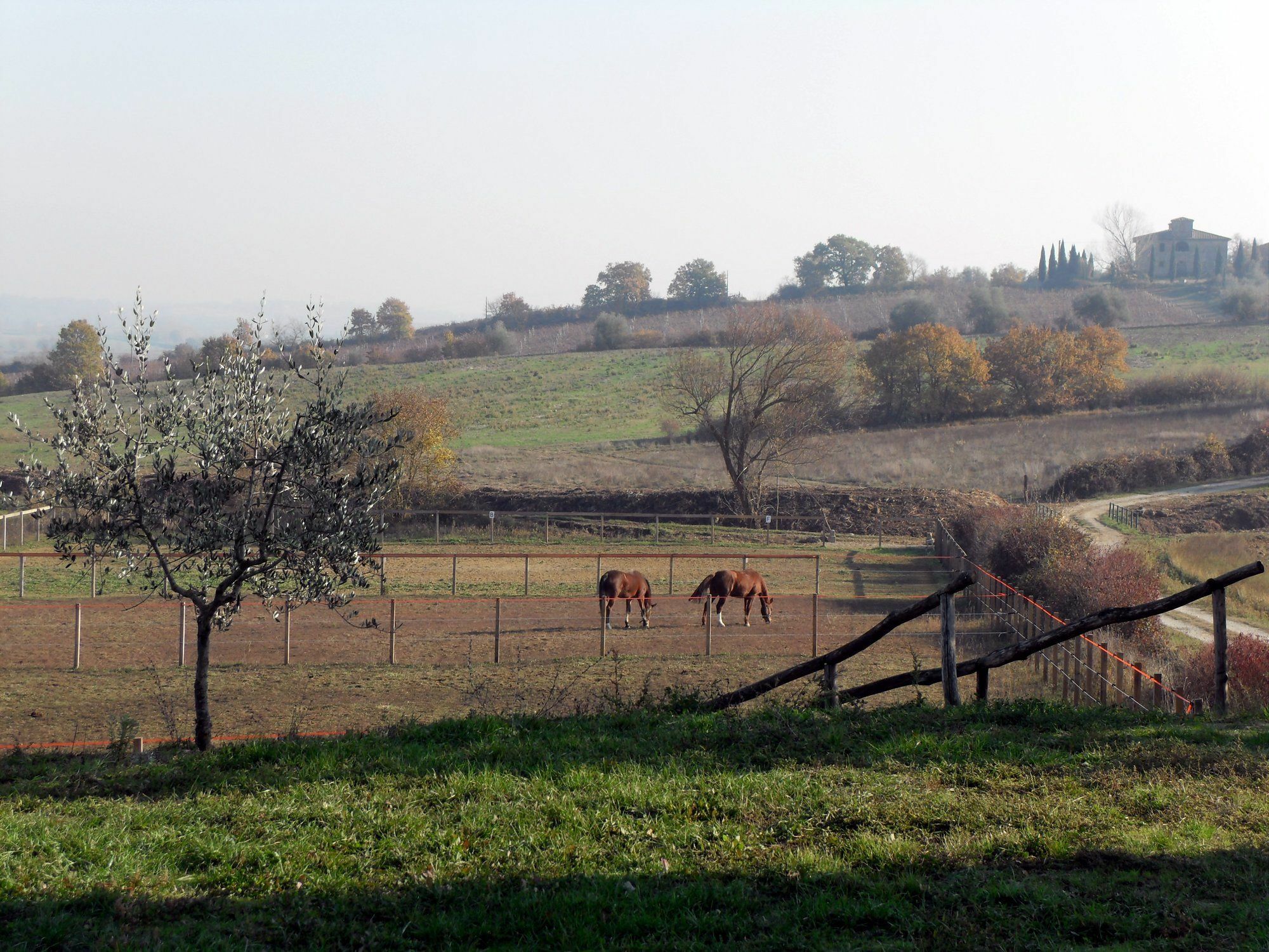 Podere Pievina Delle Corti - Dimora Di Campagna Сіналунґа Екстер'єр фото
